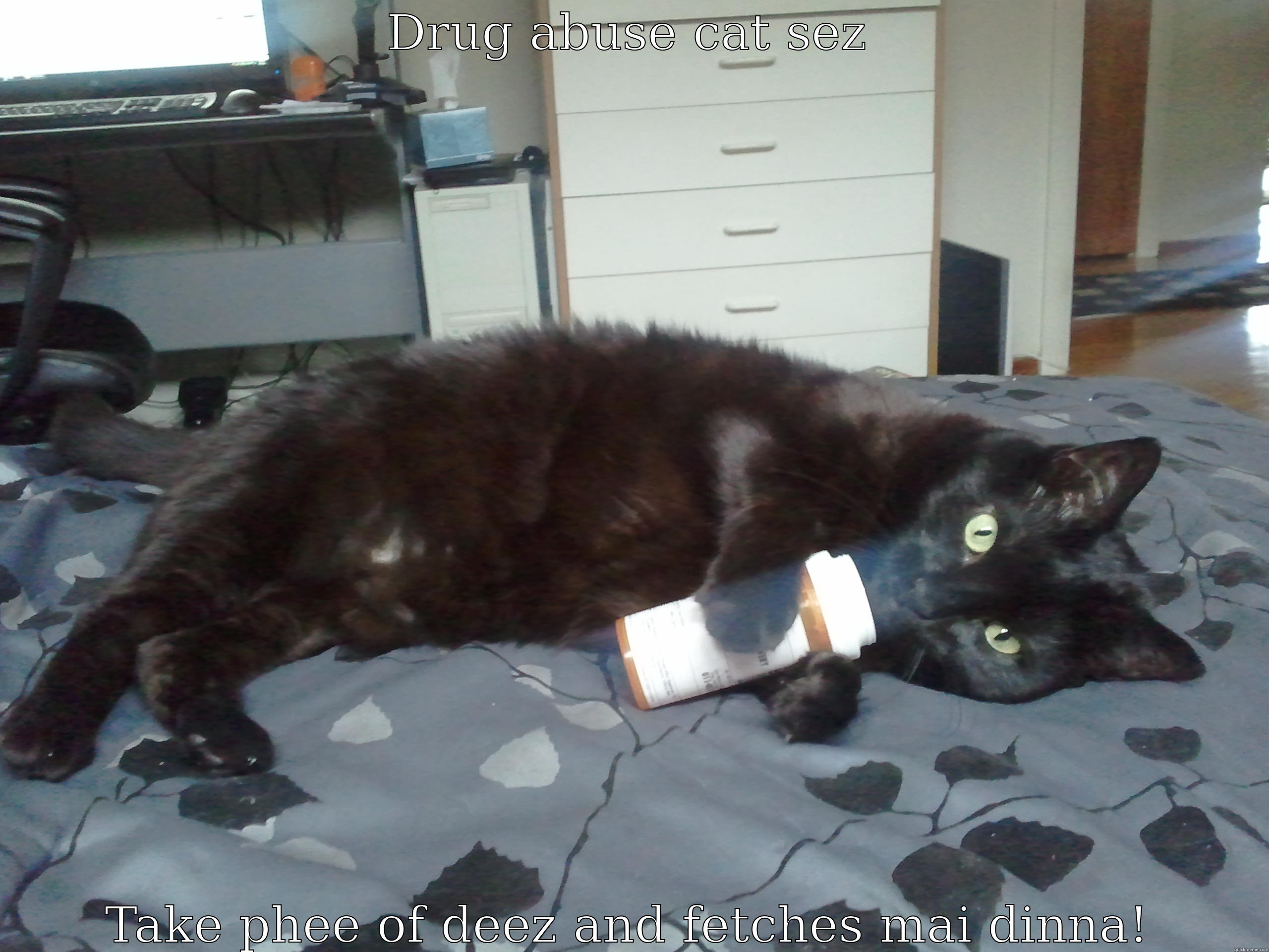 DRUG ABUSE CAT SEZ TAKE PHEE OF DEEZ AND FETCHES MAI DINNA! Misc