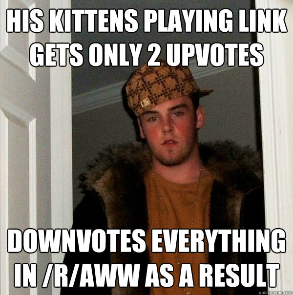 His Kittens PLaying Link gets only 2 upvotes Downvotes everything in /r/aww as a result  Scumbag Steve
