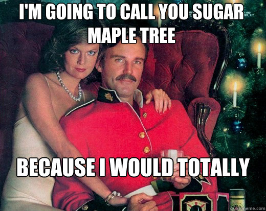 i'm going to call you sugar maple tree because i would totally tap that, eh?  The Smooth Canadian