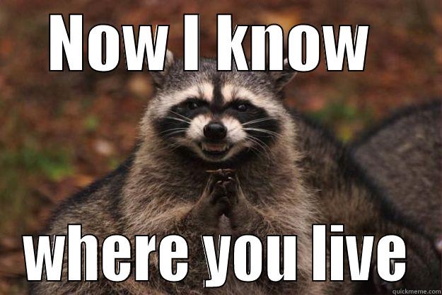 Stalker 'Coon - NOW I KNOW  WHERE YOU LIVE Evil Plotting Raccoon