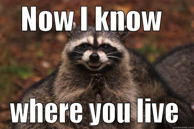 NOW I KNOW  WHERE YOU LIVE Evil Plotting Raccoon