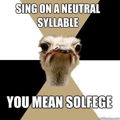 sing on a neutral syllable YOU MEAN SOLFEGE  Music Major Ostrich