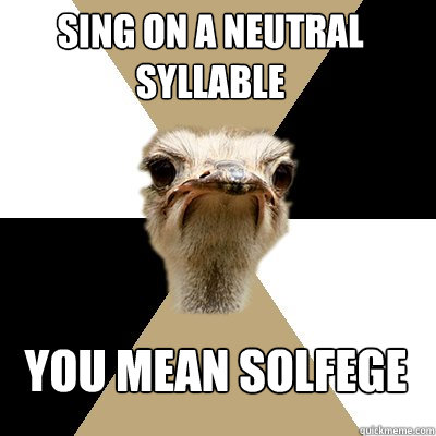 sing on a neutral syllable YOU MEAN SOLFEGE  Music Major Ostrich