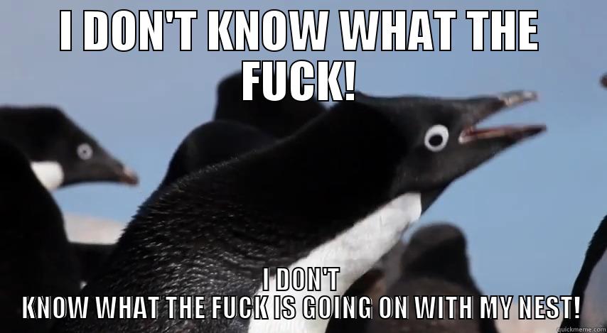 I DON'T KNOW WHAT THE FUCK! I DON'T KNOW WHAT THE FUCK IS GOING ON WITH MY NEST! Misc