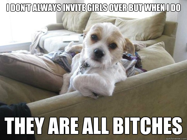I don't always invite girls over but when I do They are all bitches  The Most Interesting Dog in the World