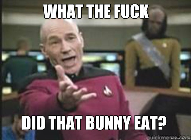 What the fuck did that bunny eat?  What the Fuck