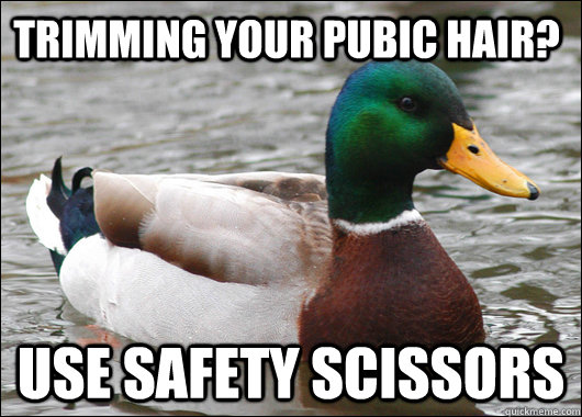 Trimming your pubic hair? use safety scissors - Trimming your pubic hair? use safety scissors  Actual Advice Mallard