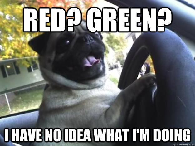 Red? Green? I have no idea what i'm doing - Red? Green? I have no idea what i'm doing  Driving Pug