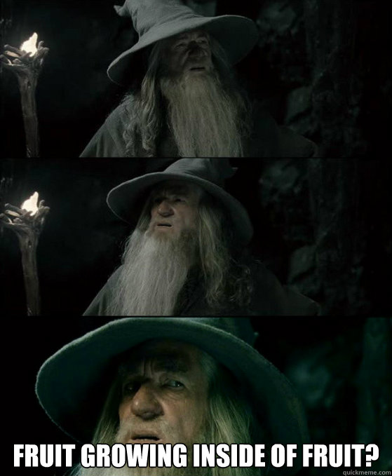  Fruit growing inside of fruit?  Confused Gandalf