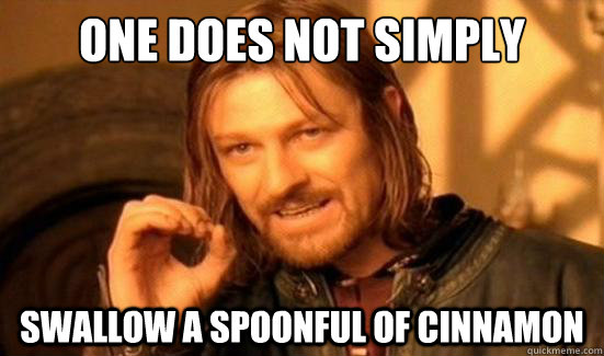 One Does Not Simply Swallow a spoonful of cinnamon  Boromir