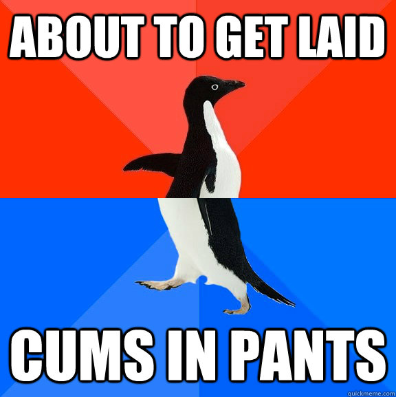 About to get laid cums in pants  Socially Awesome Awkward Penguin
