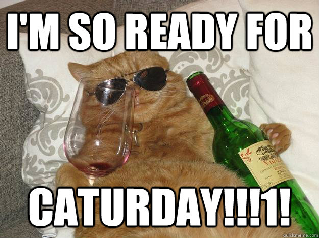 i'm so ready for caturday!!!1!  Party Cat