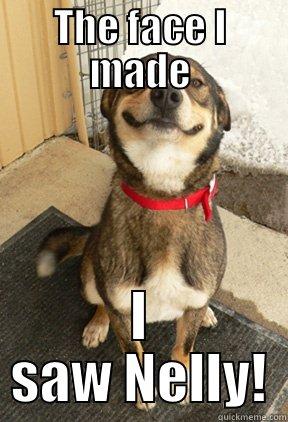 THE FACE I MADE I SAW NELLY! Good Dog Greg
