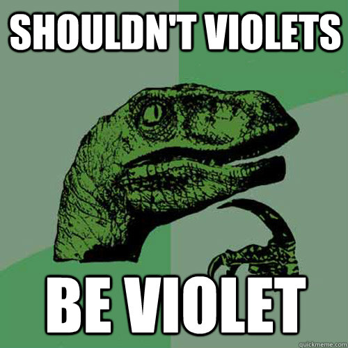 shouldn't violets be violet  Philosoraptor