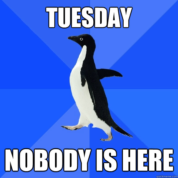 Tuesday Nobody is here  Socially Awkward Penguin