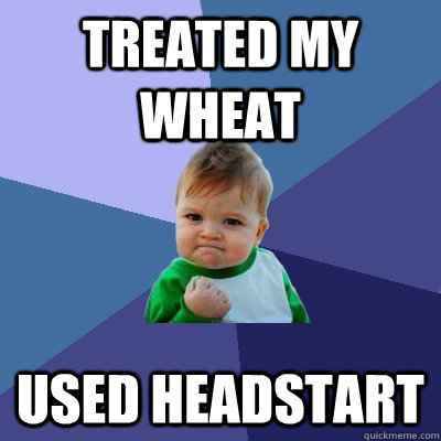 Treated my wheat used headstart  Success Kid