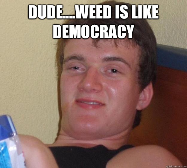 Dude....weed is like democracy    10 Guy