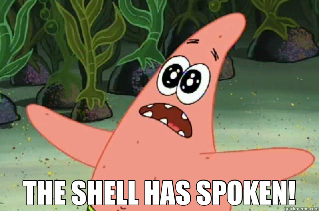  THE SHELL HAS SPOKEN! -  THE SHELL HAS SPOKEN!  conch