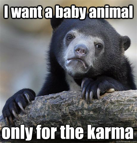 I want a baby animal only for the karma  Confession Bear
