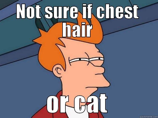 NOT SURE IF CHEST HAIR OR CAT Futurama Fry