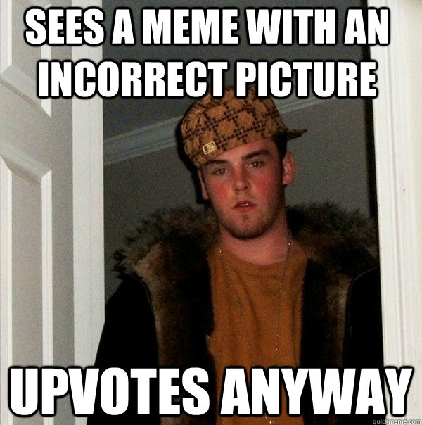 Sees a meme with an incorrect picture Upvotes Anyway  Scumbag Steve