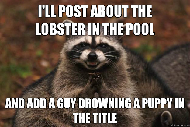 I'll Post about the 
lobster in the pool And add a guy drowning a puppy in the title  Evil genius racoon