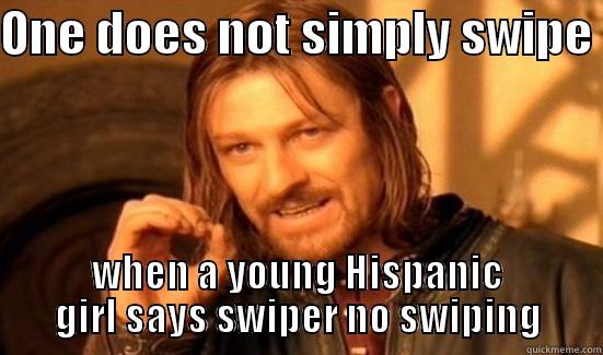 ONE DOES NOT SIMPLY SWIPE  WHEN A YOUNG HISPANIC GIRL SAYS SWIPER NO SWIPING Boromir
