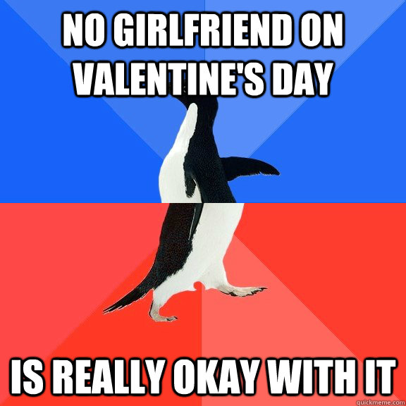 No girlfriend on valentine's day Is really okay with it  Socially Awkward Awesome Penguin