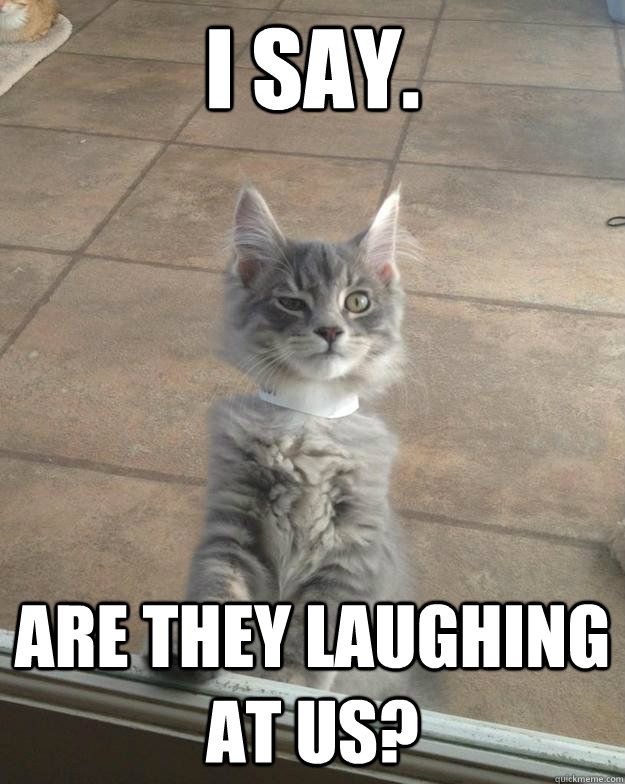 I say. Are they laughing at us?  Unamused Cat