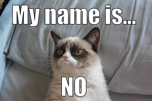 meghan trainor - MY NAME IS... NO Grumpy Cat