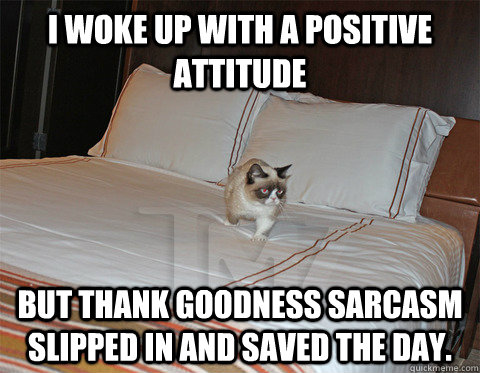 i woke up with a positive attitude but thank goodness sarcasm slipped in and saved the day. - i woke up with a positive attitude but thank goodness sarcasm slipped in and saved the day.  sarcasm