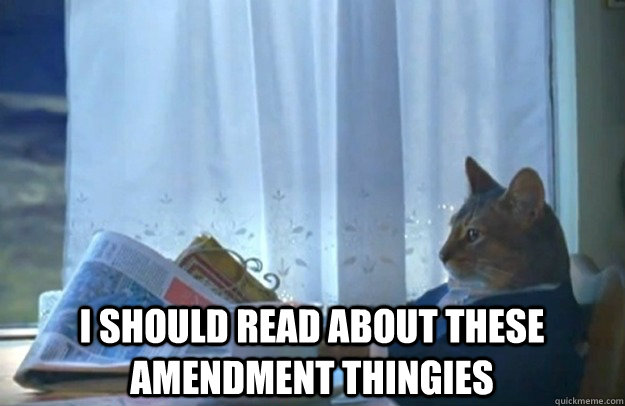  I should read about these amendment thingies -  I should read about these amendment thingies  Sophisticated Cat