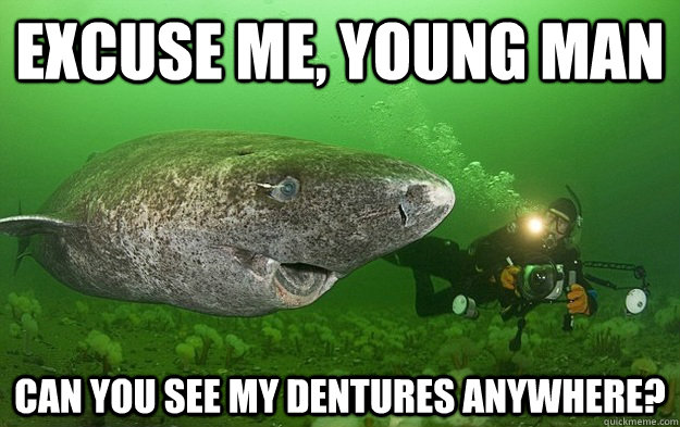Excuse me, young man Can you see my dentures anywhere? - Excuse me, young man Can you see my dentures anywhere?  Senial Shark