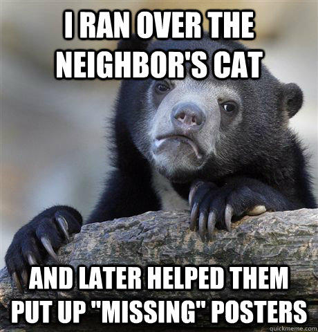 I ran Over The Neighbor's Cat And Later Helped Them Put Up 