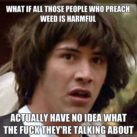 What if all those people who preach weed is harmful actually have no idea what the fuck they're talking about  conspiracy keanu