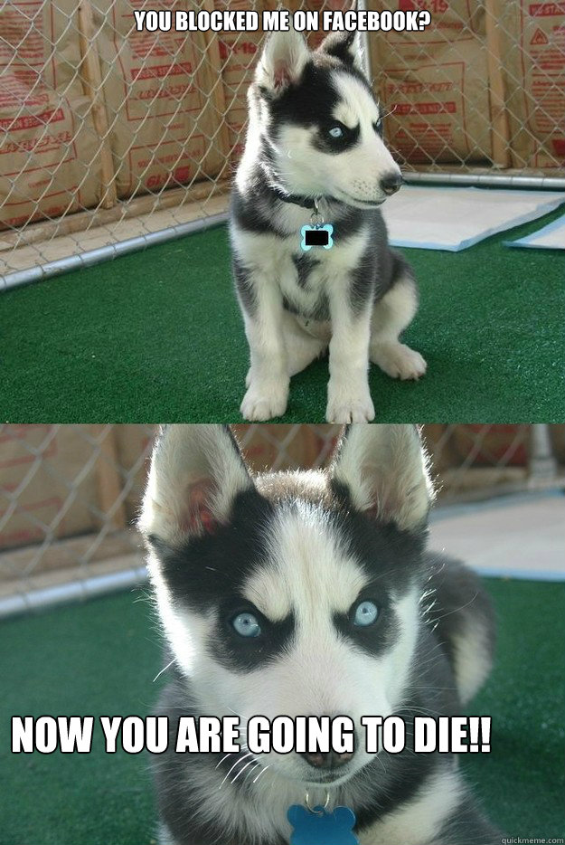 you blocked me on facebook? Now you are going to die!!  Insanity puppy
