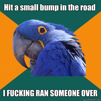 Hit a small bump in the road I FUCKING RAN SOMEONE OVER  Paranoid Parrot