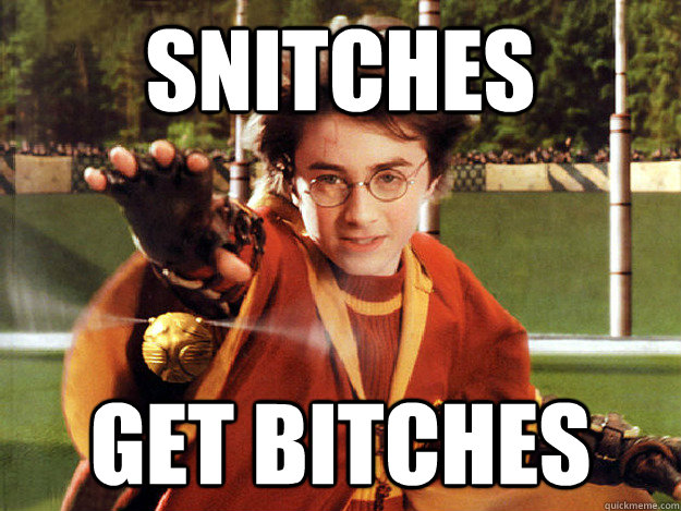 Snitches get bitches  