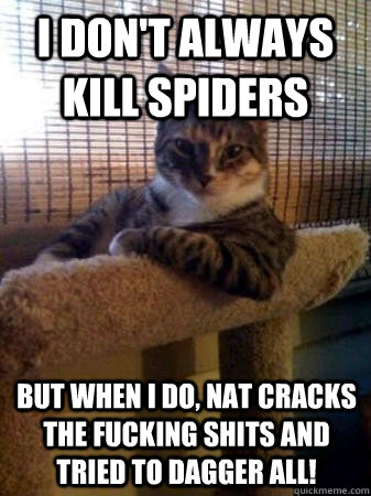 I don't always kill spiders but when I do, nat cracks the fucking shits and tried to dagger all!  The Most Interesting Cat in the World