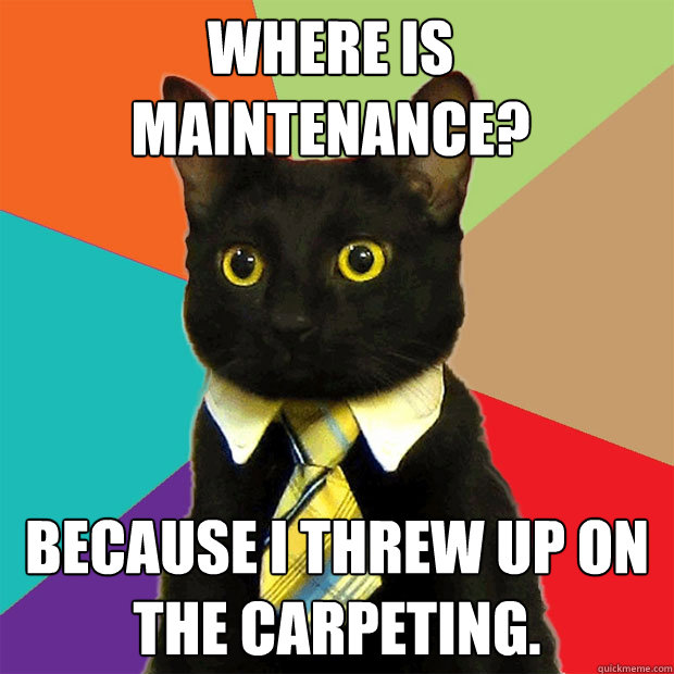 Where is maintenance?   Because I threw up on the carpeting.  Business Cat