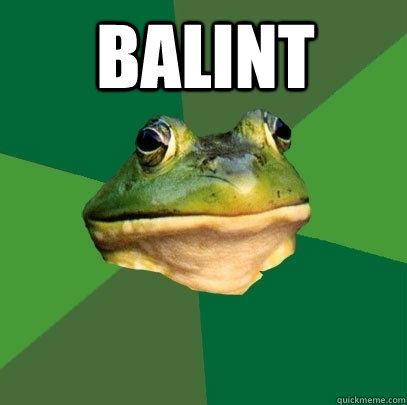BaLINT   Foul Bachelor Frog