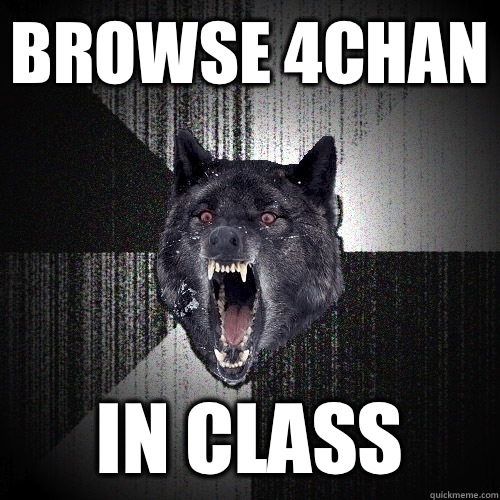 Browse 4chan In class  Insanity Wolf