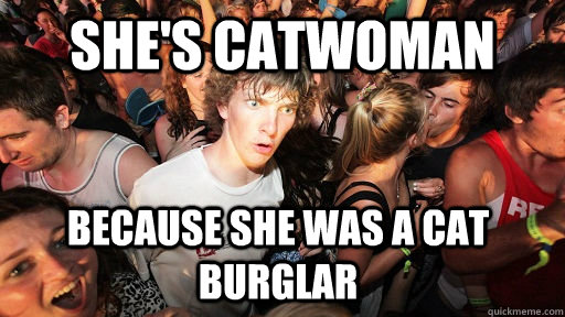 she's catwoman because she was a cat burglar  Sudden Clarity Clarence