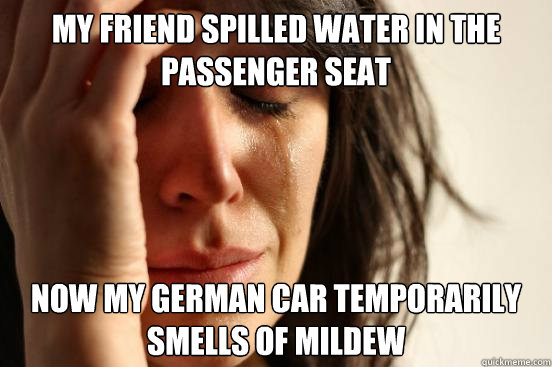 my friend spilled water in the passenger seat now my german car temporarily smells of mildew  First World Problems
