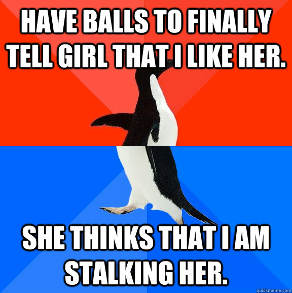 Have balls to finally tell girl that I like her. She thinks that I am stalking her.   Socially Awesome Awkward Penguin