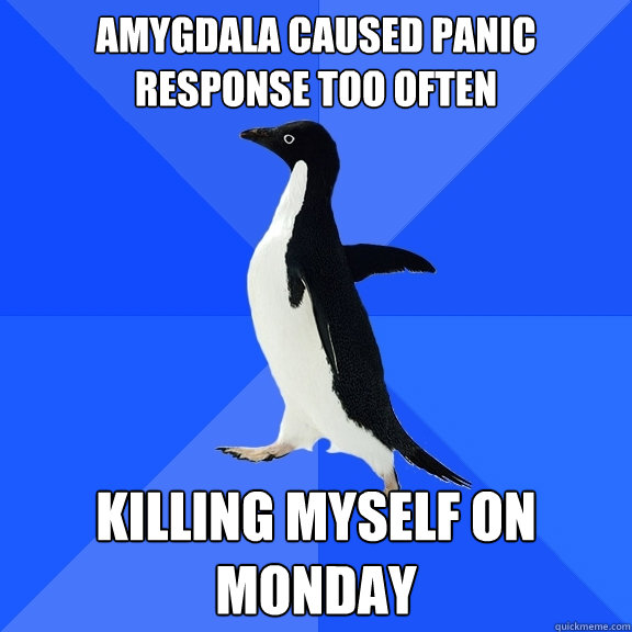 Amygdala caused panic response too often Killing myself on Monday  Socially Awkward Penguin