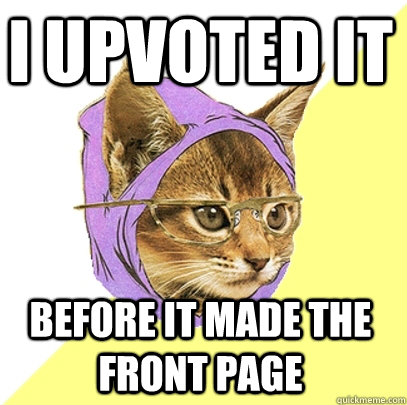 I upvoted it  before it made the front page  Hipster Kitty