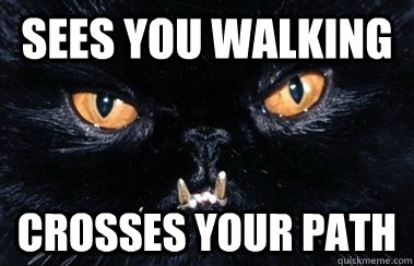 sees you walking crosses your path  Evil Cat