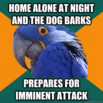 Home alone at night and the dog barks Prepares for imminent attack  Paranoid Parrot