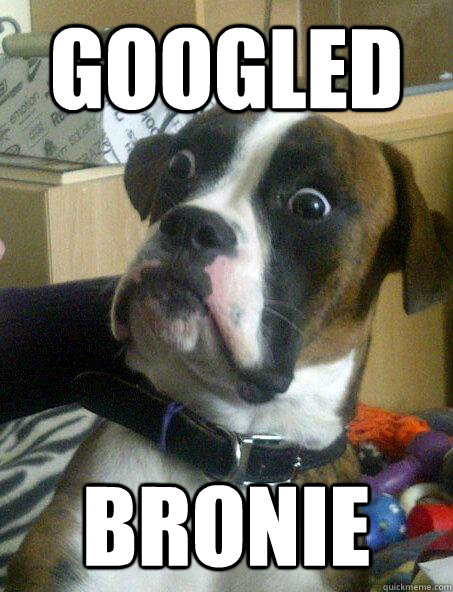 Googled Bronie - Googled Bronie  Shocked Dog